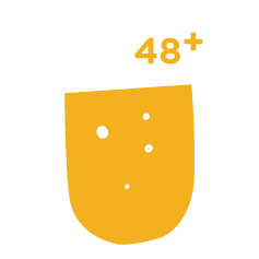 Sýr Gouda 48+