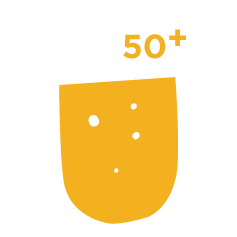 Hollandi juust 50%